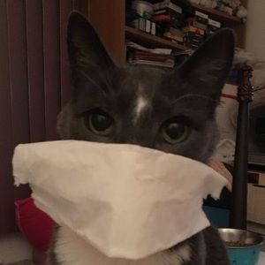 Meet your Posher, Aj